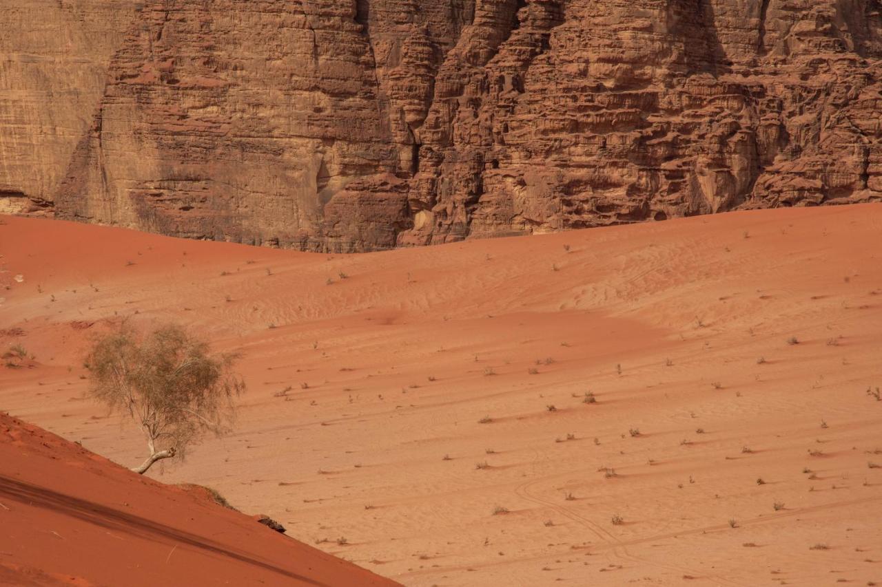 Wadi Rum Nights Exterior foto