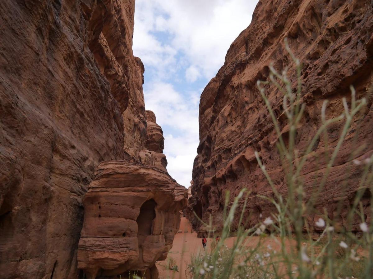 Wadi Rum Nights Exterior foto