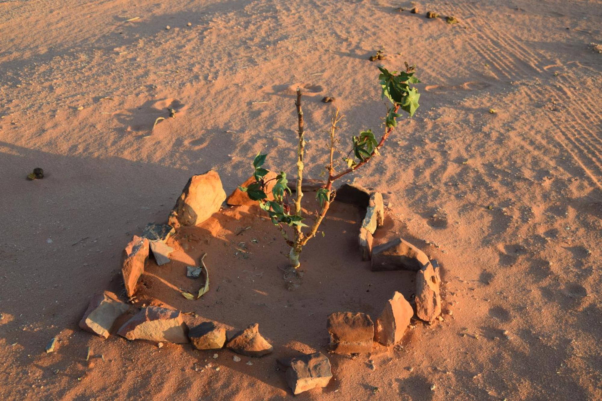 Wadi Rum Nights Exterior foto