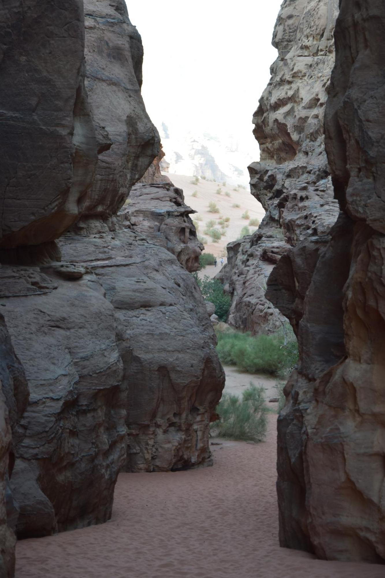Wadi Rum Nights Exterior foto